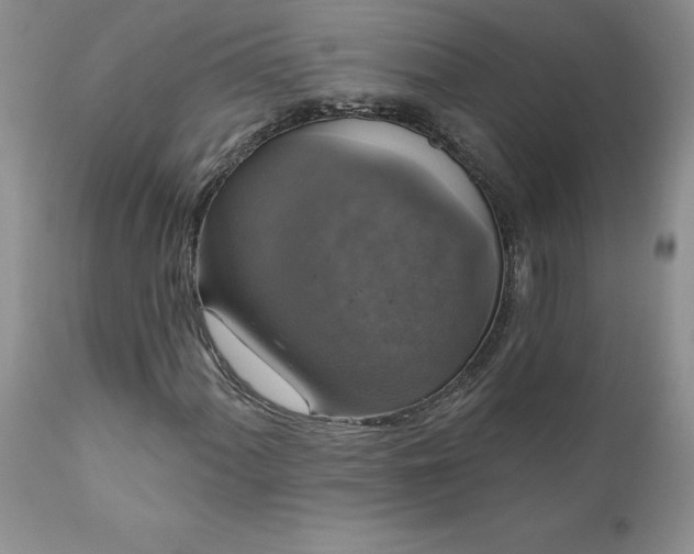 X0000111801060200907301204