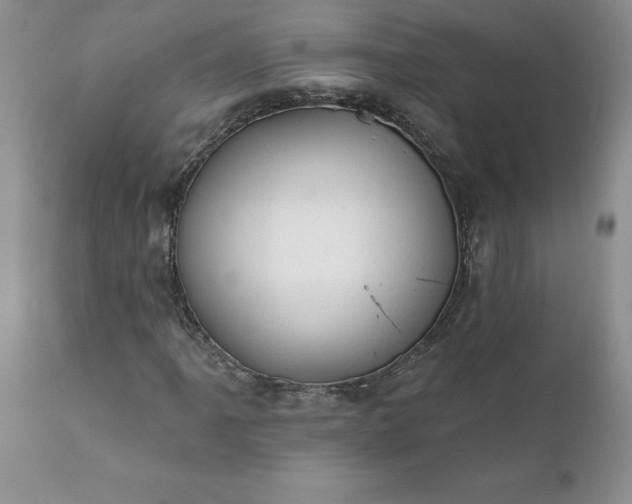 X0000111801061200907301204