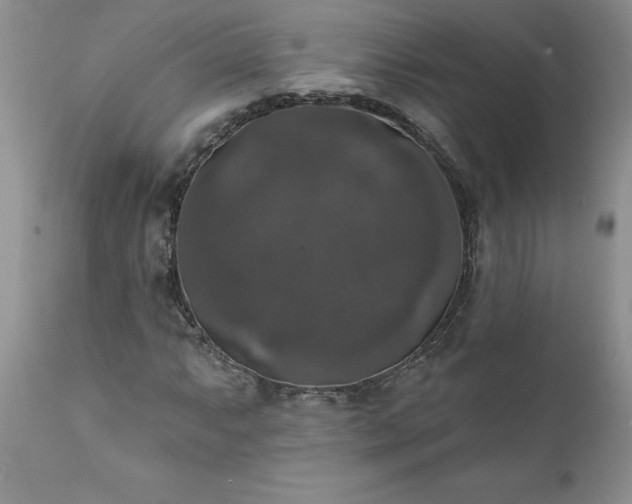 X0000111801063200907301204