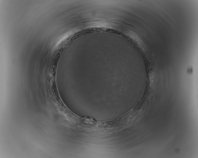 X0000111801064200907301204