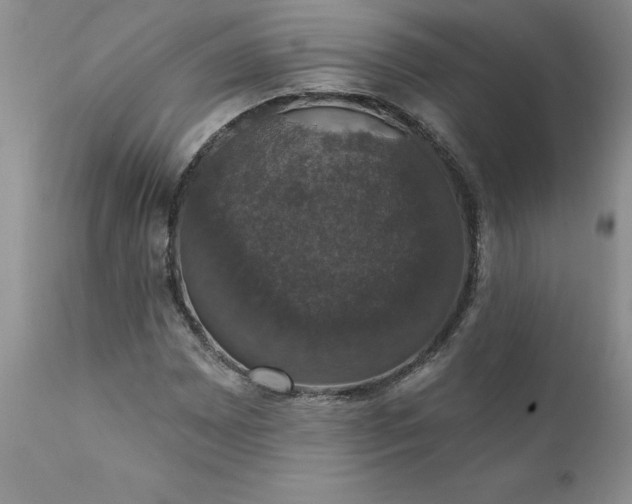 X0000111801065200907301204
