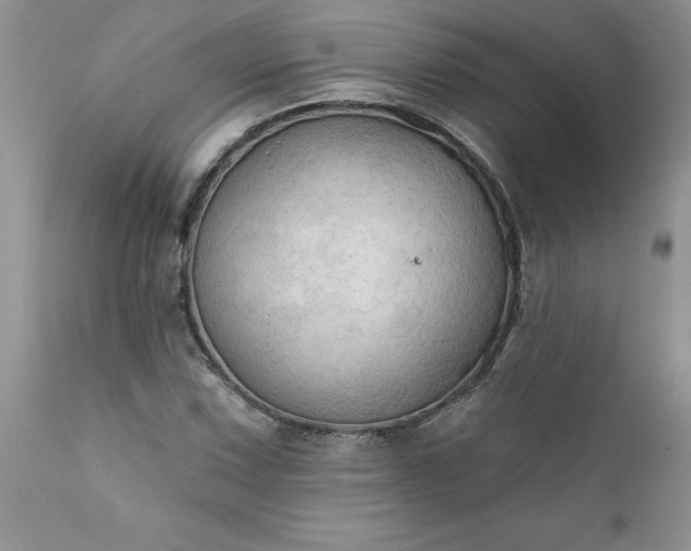 X0000111801067200907301203