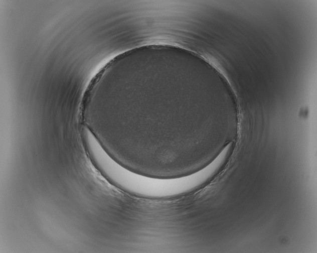 X0000111801068200907301203