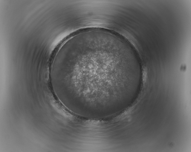 X0000111801069200907301203