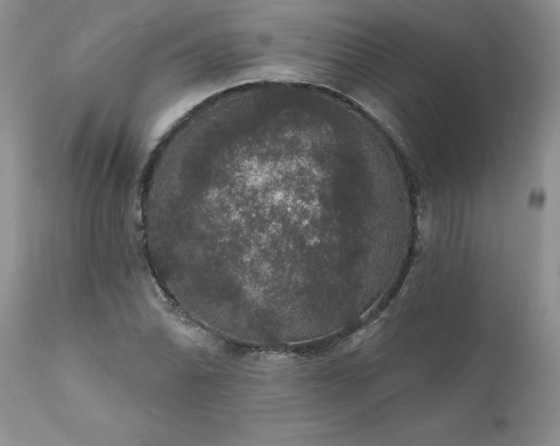 X0000111801070200907301203