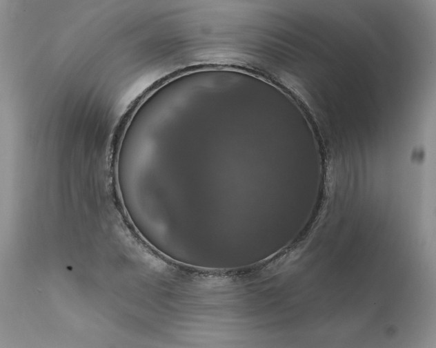 X0000111801071200907301203