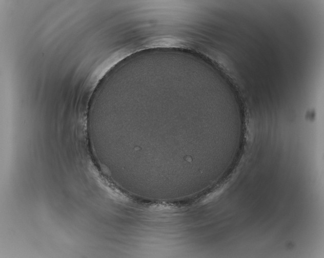 X0000111801073200907301203