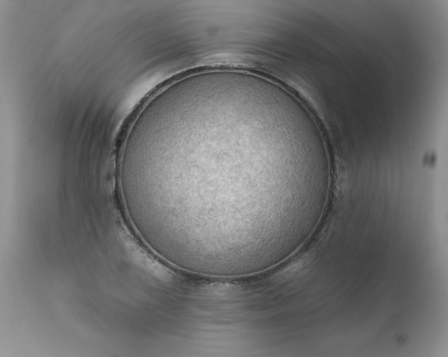 X0000111801075200907301203