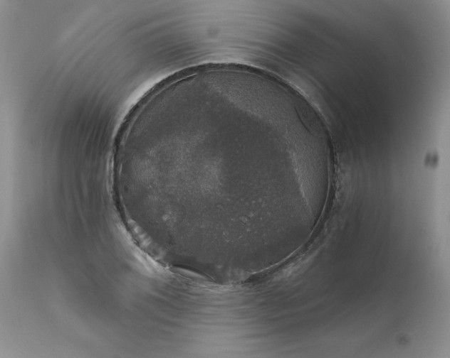 X0000111801076200907301203