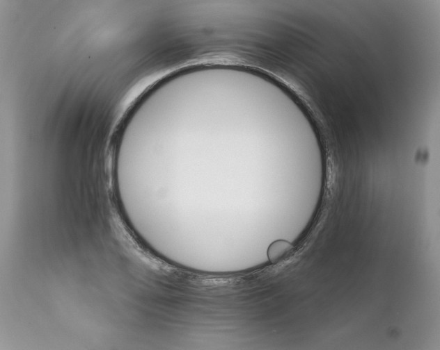 X0000111801078200907301203