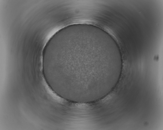 X0000111801079200907301203