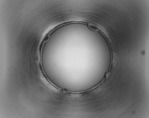 X0000111801080200907301203