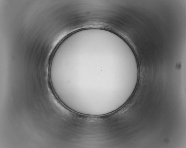 X0000111801083200907301203