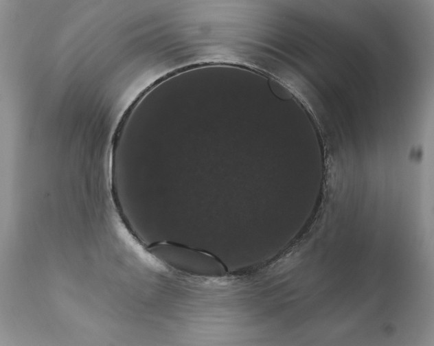 X0000111801084200907301203