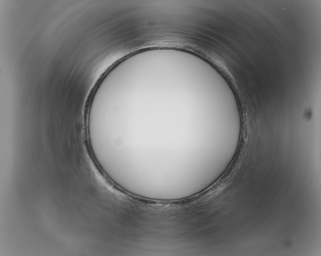 X0000111801087200907301203