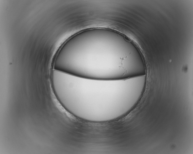 X0000111801088200907301203