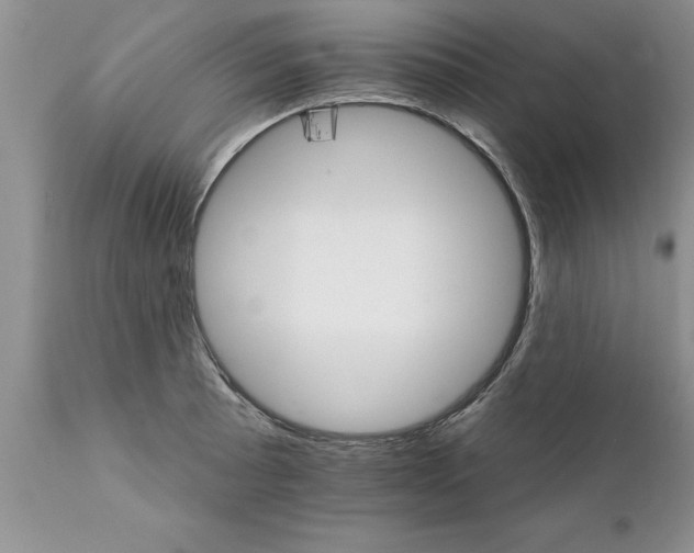 X0000111801089200907301203