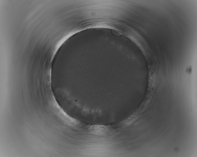 X0000111801092200907301203