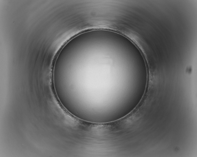 X0000111801093200907301203