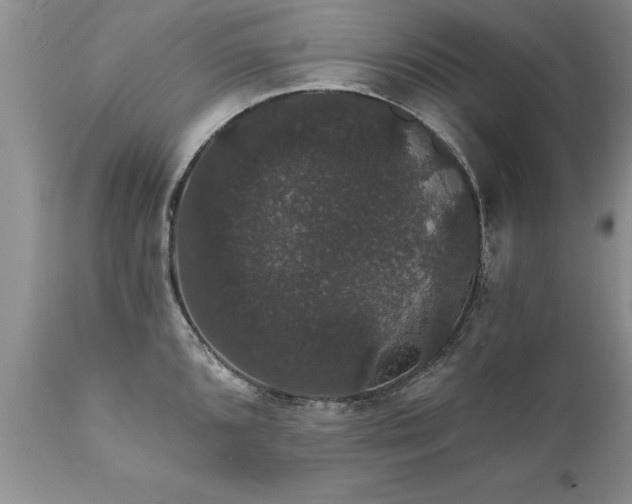 X0000111801096200907301203