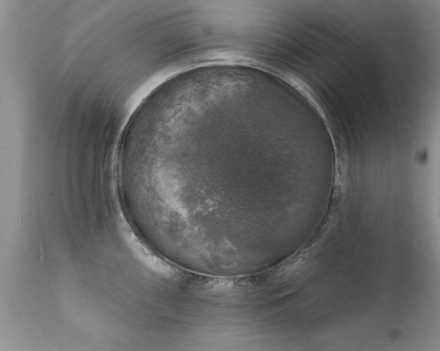 X0000111801098200907301203