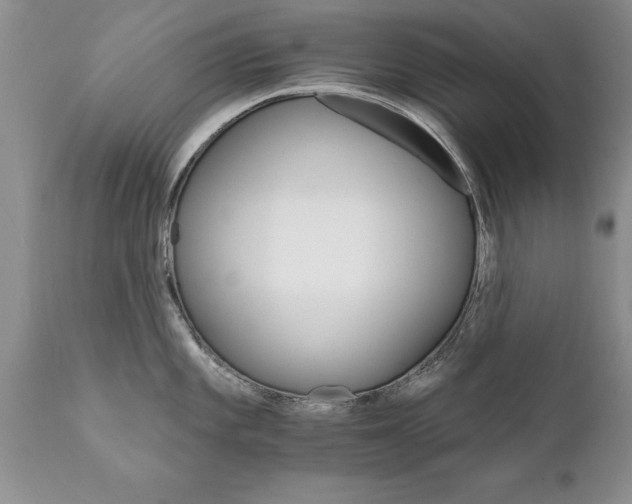 X0000111801101200907301203