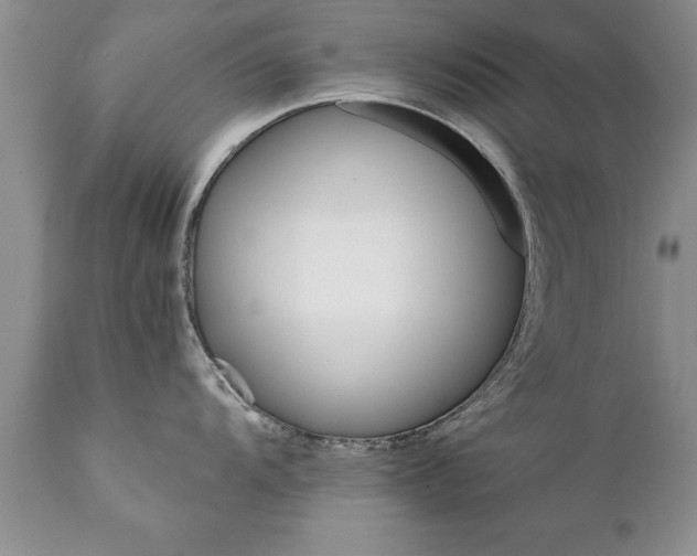 X0000111801104200907301203