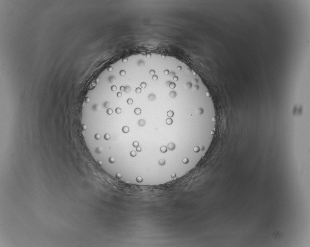 X0000111801105200907301202