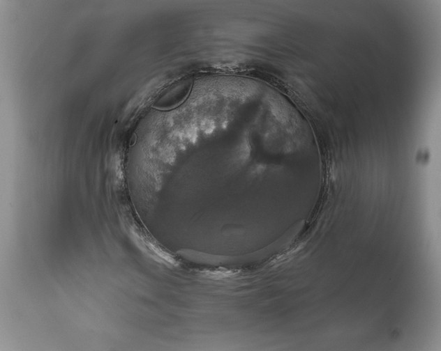 X0000111801106200907301202