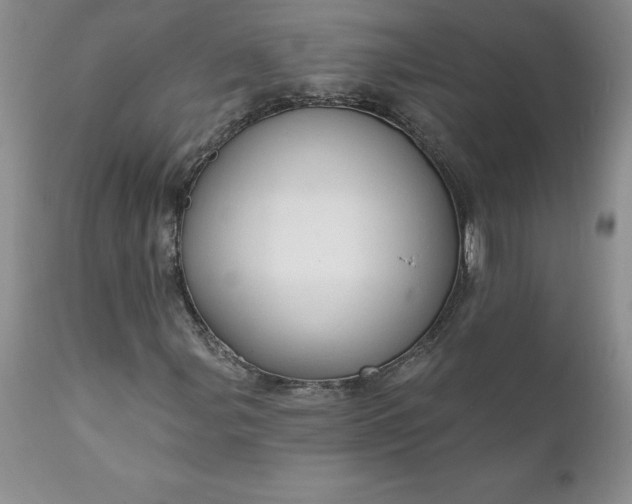 X0000111801107200907301202
