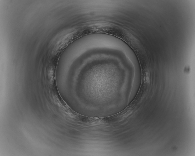X0000111801108200907301202