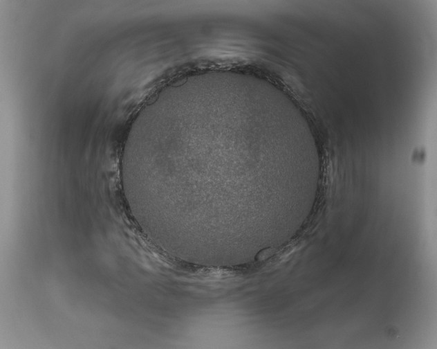 X0000111801109200907301202