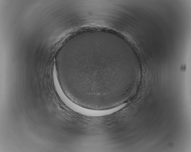 X0000111801110200907301202