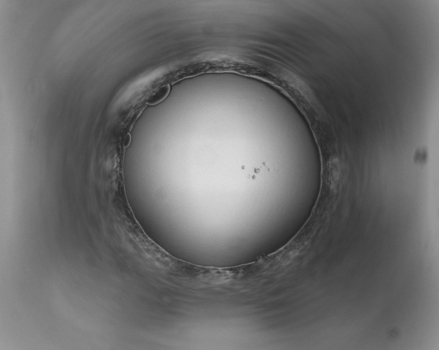 X0000111801111200907301202