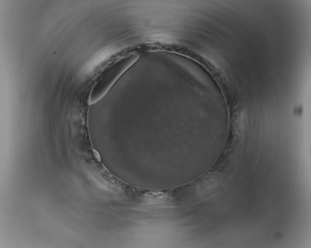 X0000111801112200907301202