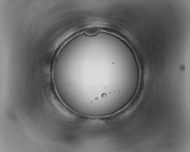 X0000111801113200907301202