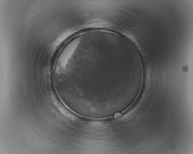 X0000111801114200907301202