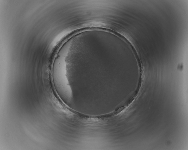 X0000111801115200907301202