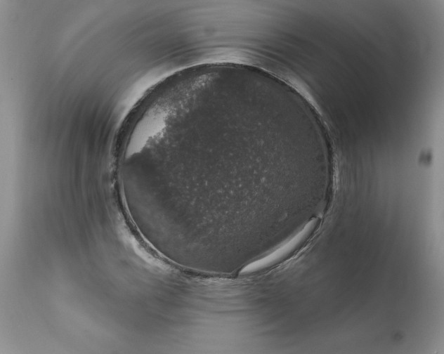 X0000111801116200907301202