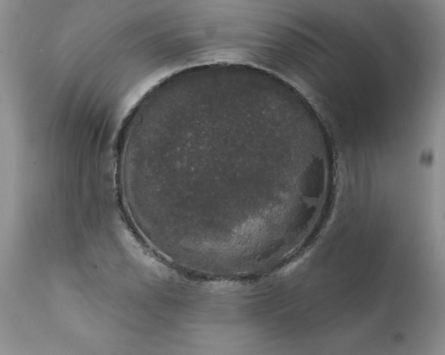 X0000111801118200907301202