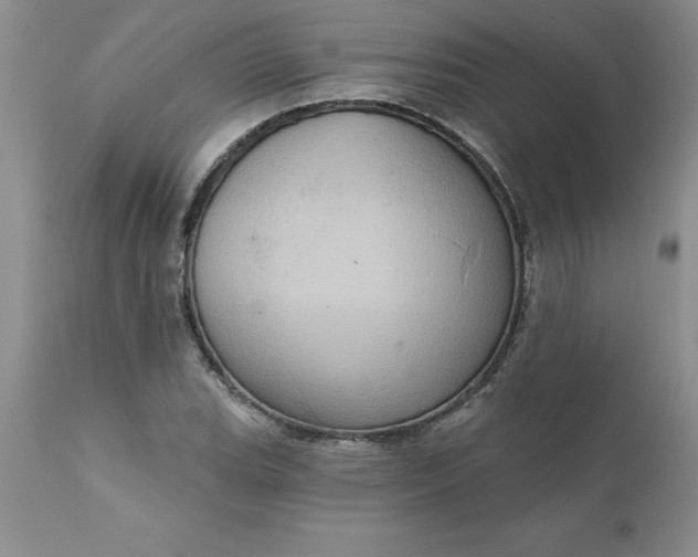 X0000111801119200907301202