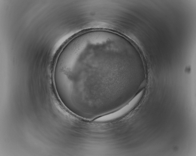 X0000111801120200907301202