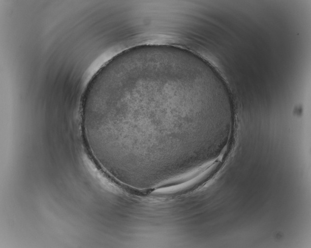 X0000111801122200907301203