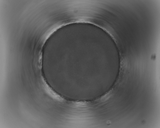 X0000111801126200907301203