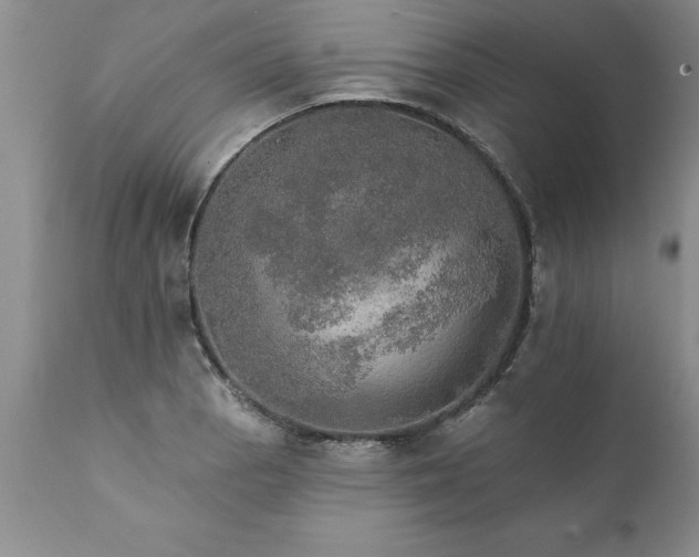 X0000111801129200907301203