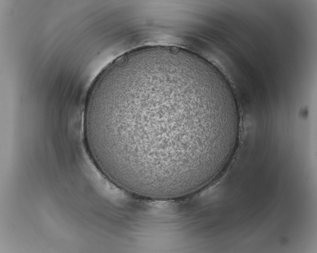 X0000111801130200907301203
