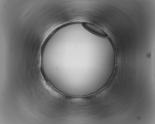 X0000111801132200907301203