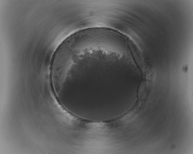 X0000111801134200907301203