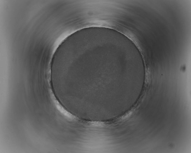 X0000111801136200907301203