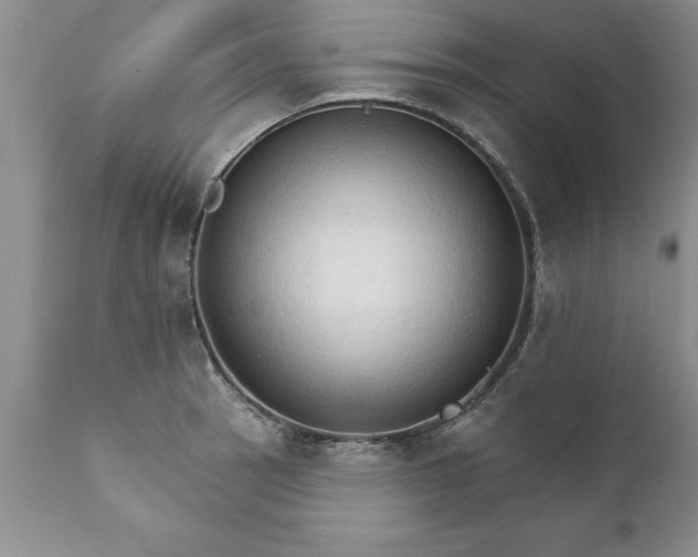 X0000111801137200907301203